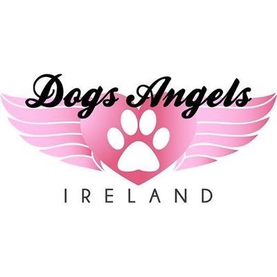 Help us on our journey in finding loving homes for our wonderful rescued dogs 🐶 💕
paypal dogsangelsireland@gmail.com 
xx