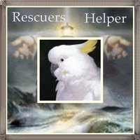 We are a non-profit that strives to help bird rescues & shelters in need. We also are a network for rescues to meet and help each other, too.