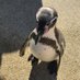 alan (@alan96432961) Twitter profile photo alan (@alan96432961) Twitter profile photo