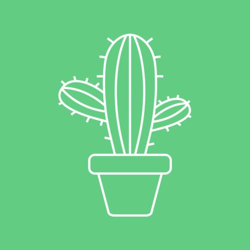 cactus_coding Profile Picture