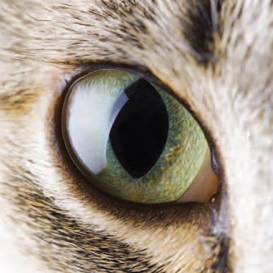 fdhior's profile picture. Apasionado de las tecnologías de la información, la creación literaria, la música y la manera combinarlo todo para crear lo que nadie se ha atrevido a crear