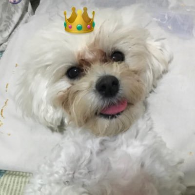 kainda_fun's profile picture. 