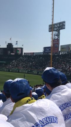 楽天ファンの高1です

2013の優勝を気に好きになりました！
関東鷲です。ファン歴4年
則本昂大、松井裕樹、茂木栄五郎…皆、好きです
バスケ部ですけどw野球は好きです

フォロバ100000%