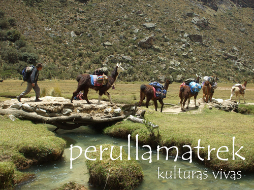 Kulturas Vivas