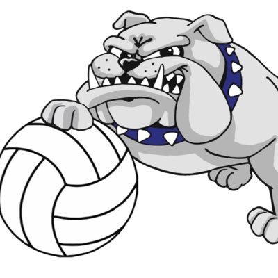 SouthSubvolley Profile Picture