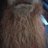 Beard