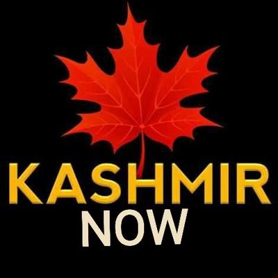 Explore Kashmir With Kashmir Now