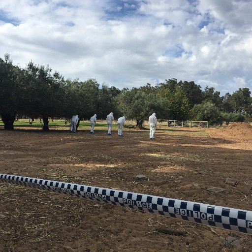 murdochforensic's profile picture. 