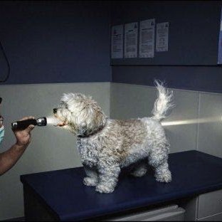 ryanlearn2learn's profile picture. 