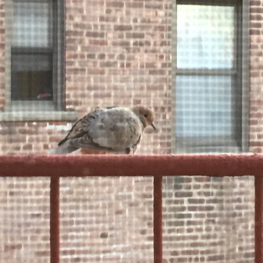 DevOpsCounts's profile picture. I’m a DevOps lady.