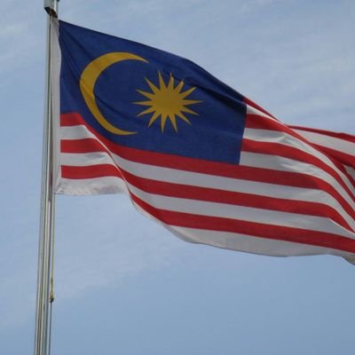 vijeshreddy1970's profile picture. 