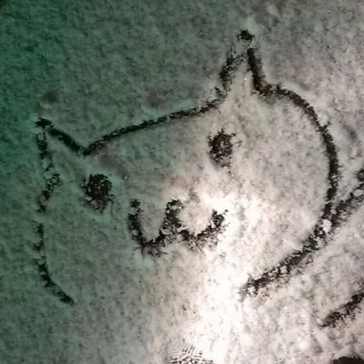 もぎみ わー懐かしいーー 今でもつけま取ってますー もーっと昔ですがプリクラじゃなくてスタンプ作れるスタンプ倶楽部とかありましたねー