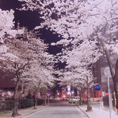 W3paUghmFWCsX6B's profile picture. 