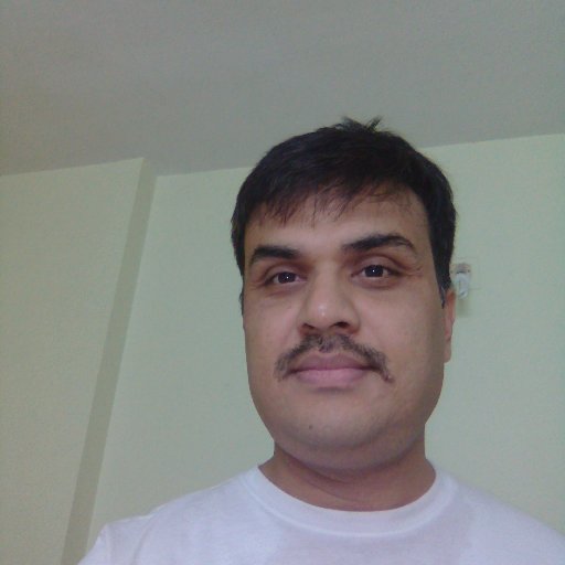 IT, ITES Digital Marketing Consultant, Functional Project Manager,