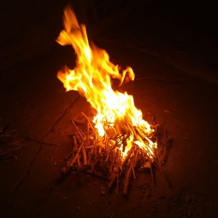 zhxxyy's profile picture. 