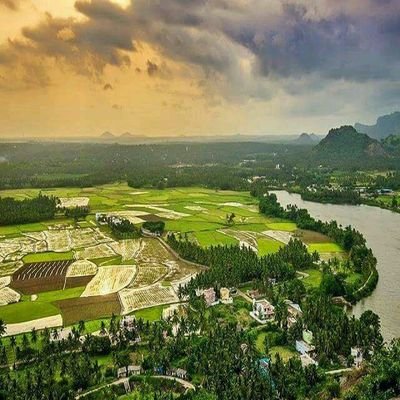 narassowmya's profile picture. 