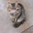 therese0222's profile image
