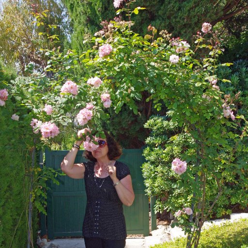 kivihile's profile picture. Pedagogiikan ammattilaisena  kiinnostunut monipuolisista oppimisympäristöistä. Interested in Teaching Strategies Promoting Active Learning.