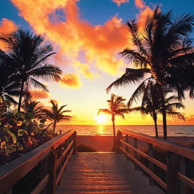 CiciarelliDario's profile picture. 