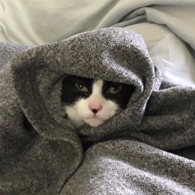 LilMissRhonda's profile picture. Kitten. Dancer. Wearer of White Boots.