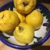 Quince Tree Suffolk (@grrrlady) Twitter profile photo Quince Tree Suffolk (@grrrlady) Twitter profile photo