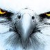 Apollo Softball (@apollovsoftball) Twitter profile photo Apollo Softball (@apollovsoftball) Twitter profile photo