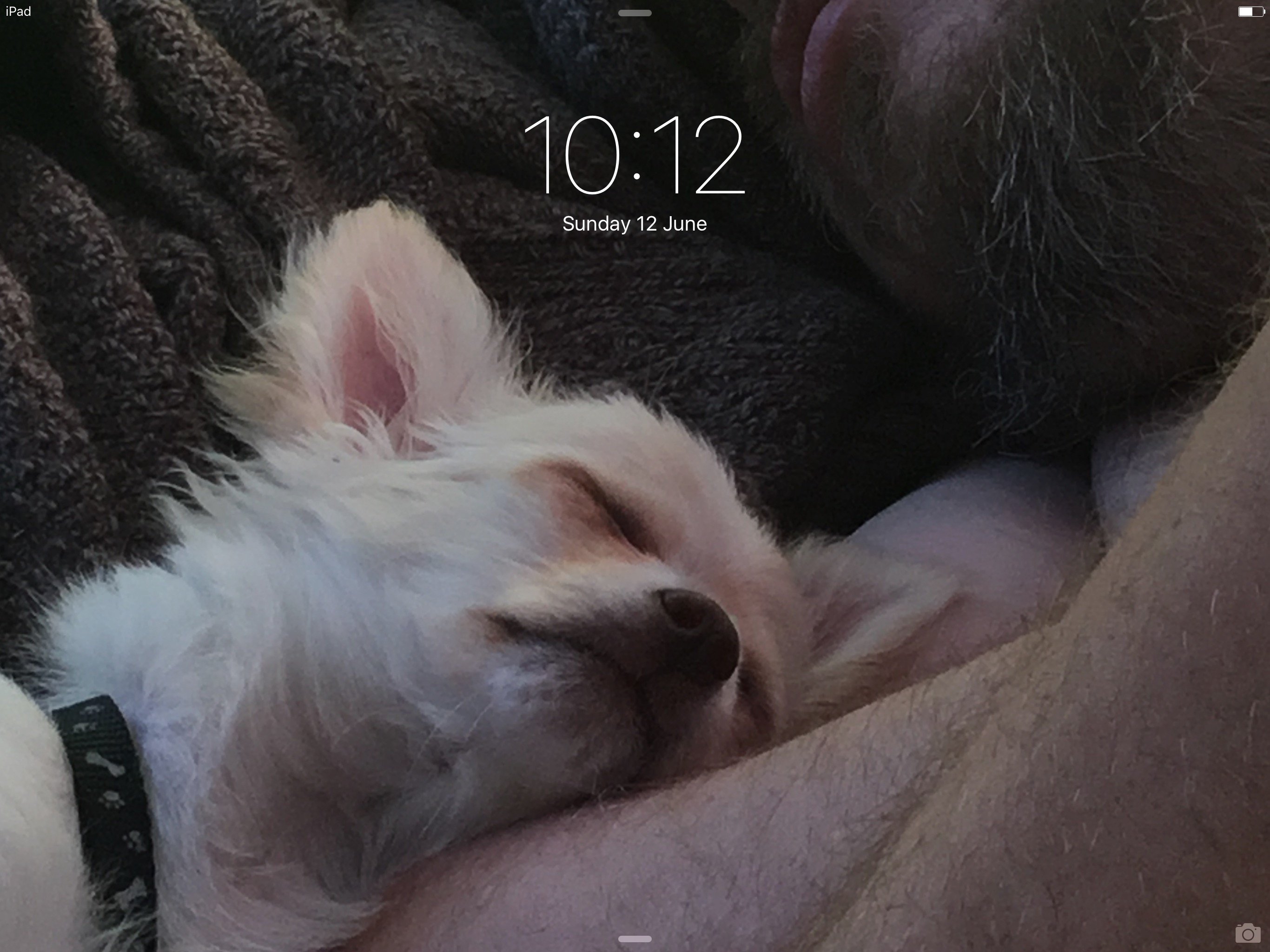Gizmo8868's profile picture. 