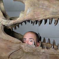 Anthony Maltese: Xiphactinus Superfan #1(@Mosasaurologist) 's Twitter Profile Photo