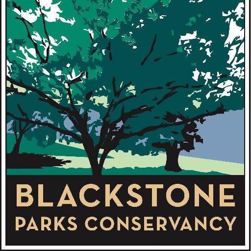 Dedicated to the preservation and stewardship of historic Blackstone Park Conservation District and Blackstone Boulevard.