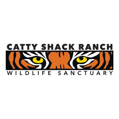 Catty Shack Ranch Wildlife Sanctuary is a 501(c)3 nonprofit organization dedicated to the rescue and care of big cats.