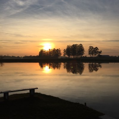 vt_tanaka's profile picture. 