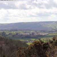 Gardening with Michael (@michaelbumster) 's Twitter Profile Photo