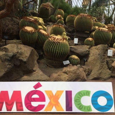 NMMG_aaui's profile picture. Goosehouseが好きな人。大学生ですᕦ(ò_óˇ)ᕤ