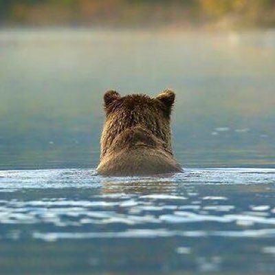 NeuroN776's profile picture. 