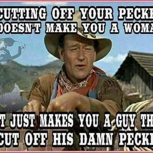 STVMNTY's profile picture. #BuildTheWall #MAGA #ProLife #1A #2A #AmericaFirst #Conservative #DrainTheSwamp #ProIsrael #Veterans #BackTheBlue #LiberalismIsAMentalDisorder