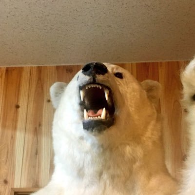 mmdb8's profile picture. 宜しくです！ 171＊82＊52 D専 不慣れなので失礼あったらごめんです。