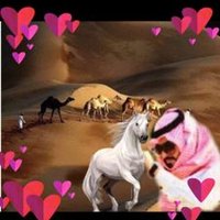 Saud ALMUTiRi (@almutirisauod) Twitter profile photo
