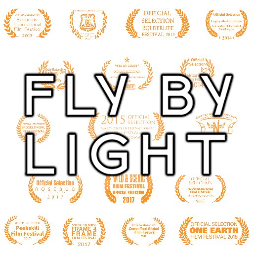 Fly By Light