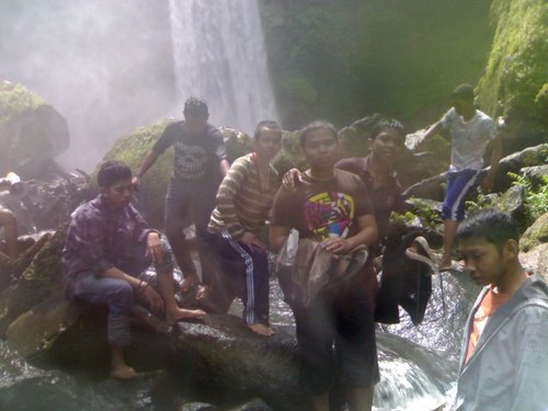 GreenEarth3's profile picture. 