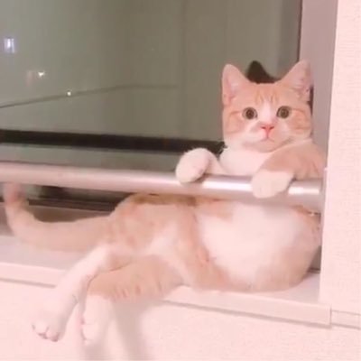 V10168's profile picture. 