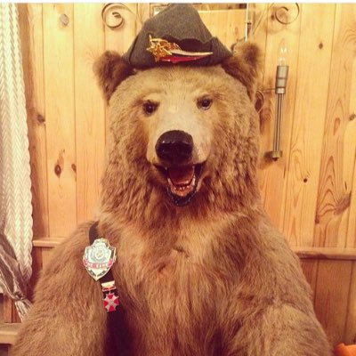 #followback #взаимный_фолловинг #TeamFollowBack #Follow4Follow #Follow2BeFollowed #TFB #взаимнаяподписка #взаимныйфолловинг #взаимный #взаимно #фолловинг