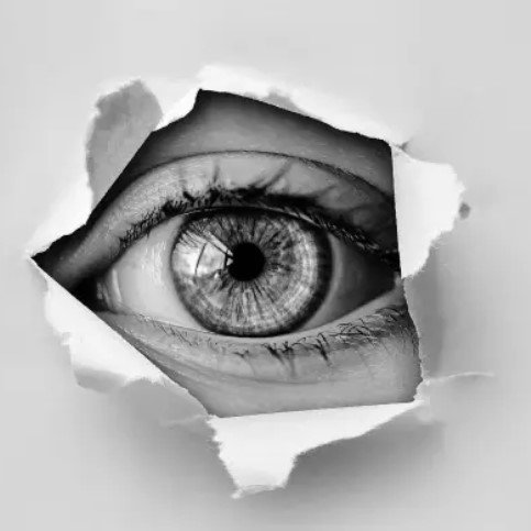 cryptorapoto's profile picture. 