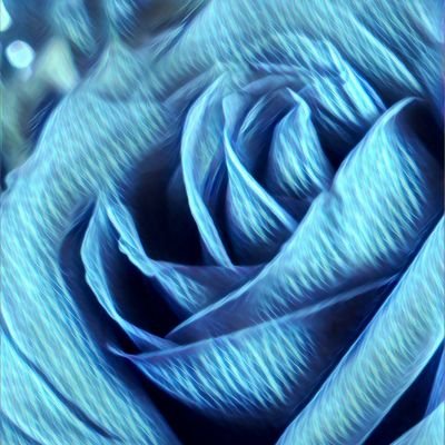 BluedRoses Profile Picture