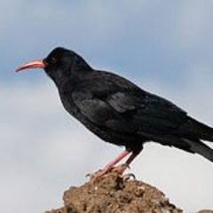 CasaRegional's profile picture. 