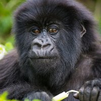 One Health Productions (@onehealthpro) 's Twitter Profile