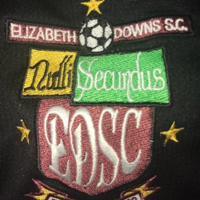 ElizDownsSC Profile Picture