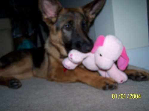 GauPau's profile picture. 