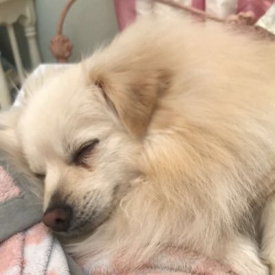 garliceye's profile picture. Trying not to drown in the Twitterstream!