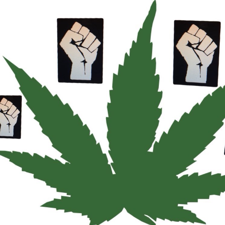 blazed for revolution
