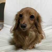 堂本ルリ (@wjdklllnstsaaiu) 's Twitter Profile